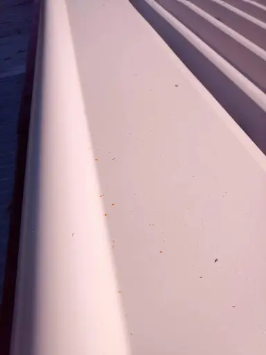 colorbond with specks of rust generated from leftover metal shavings