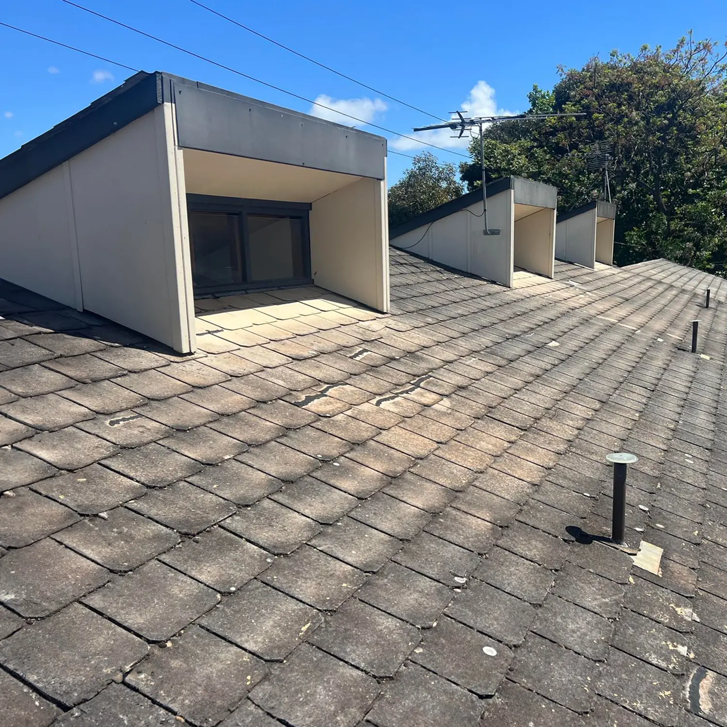 From Asbestos to Metal Before 002 From Asbestos to Metal Before 002