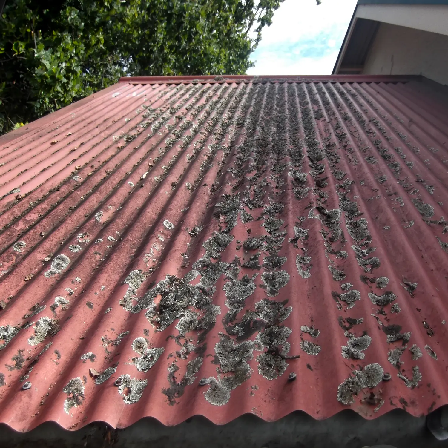 From Old Metal to New Metal Before 003 From Old Metal to New Metal Before 003